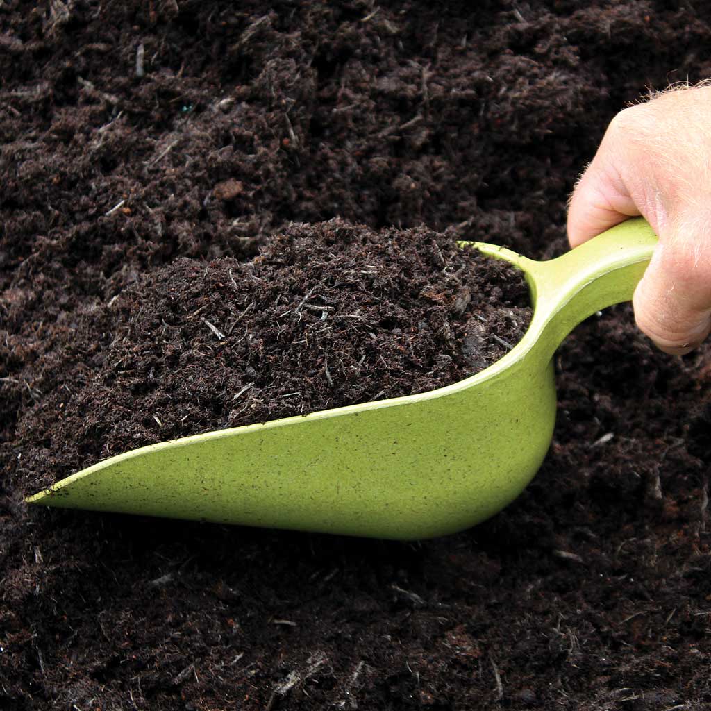 Bamboo scoop in use