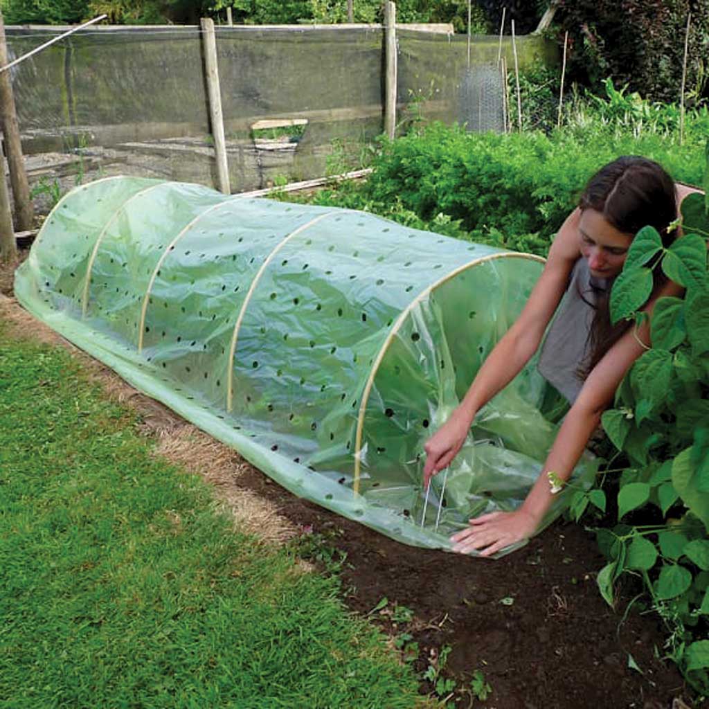 tunnel hoops in use