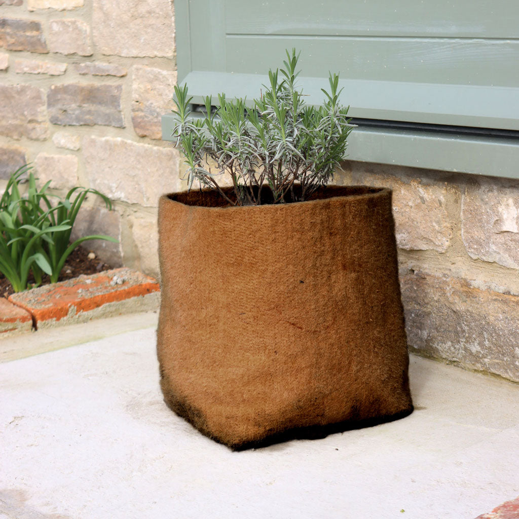 haxnicks hemp 10L pot in use on patio