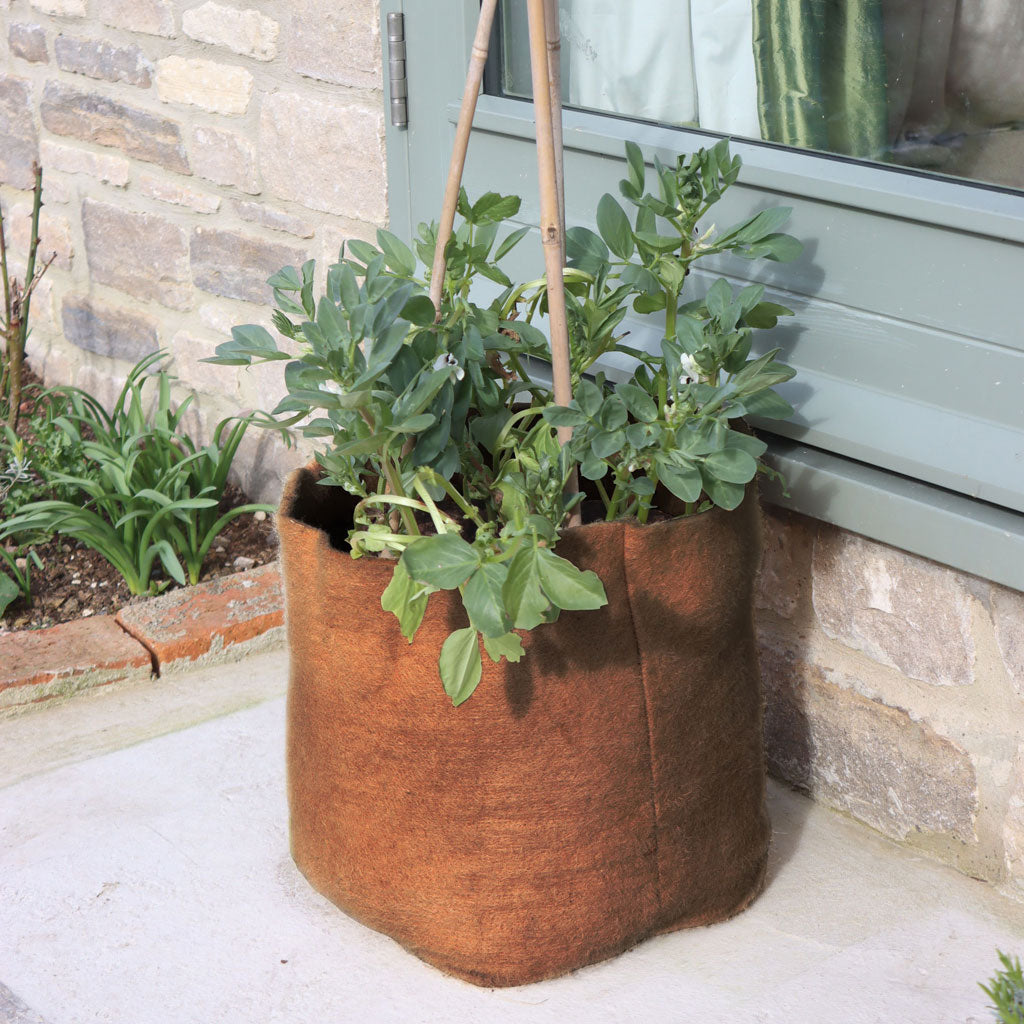 haxnicks hemp 40L pot in use on patio