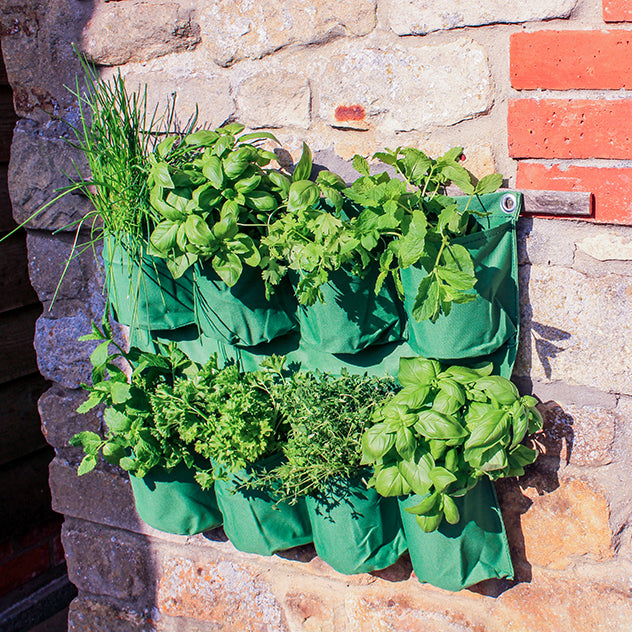 Herb Wall Planter