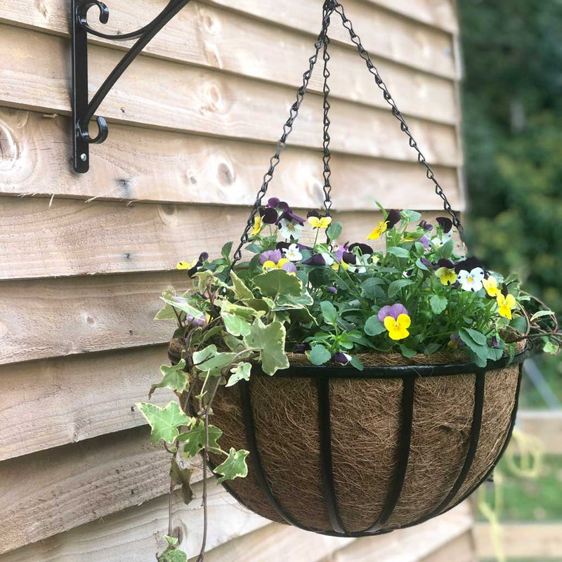 Oxford Hanging Basket with Coco Liner