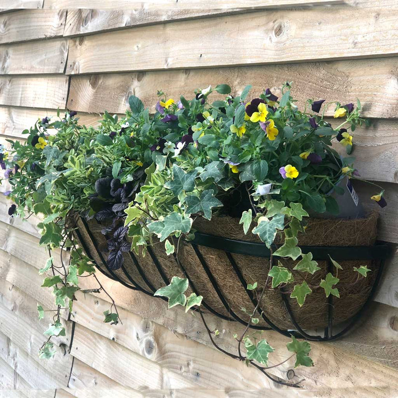 Oxford Deluxe Wall Trough
