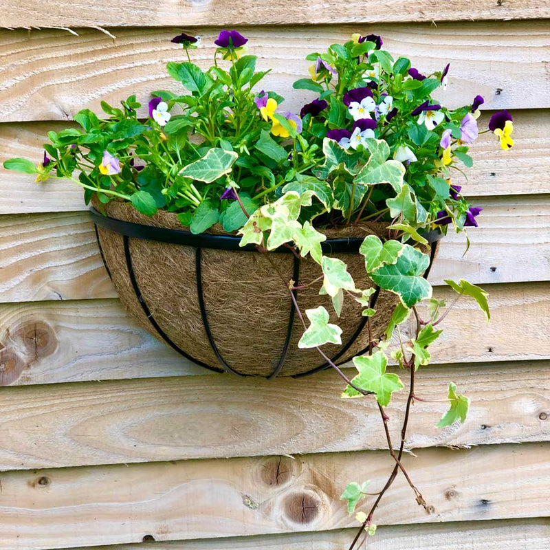 Oxford 16" Wall Basket with Coco Liner