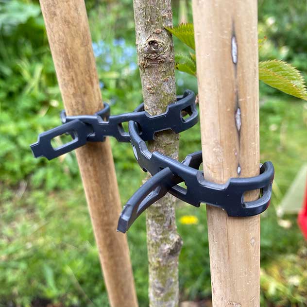 interlock plant support around tree and cane