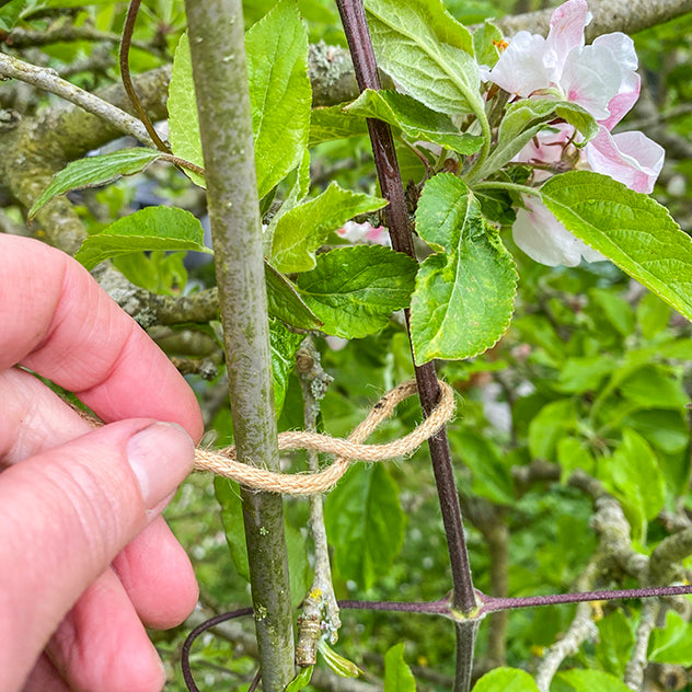 Eco Jute Twist Ties