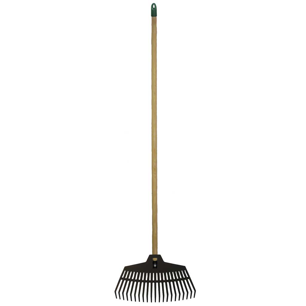 lawn rake