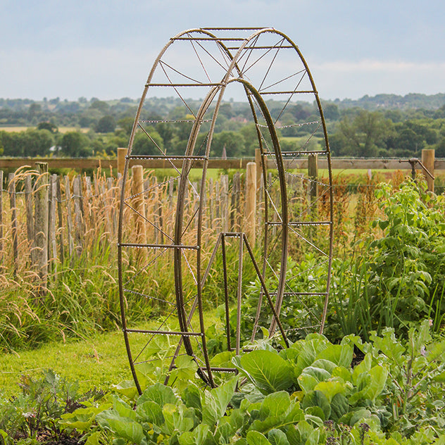 London Eye Plant Frame