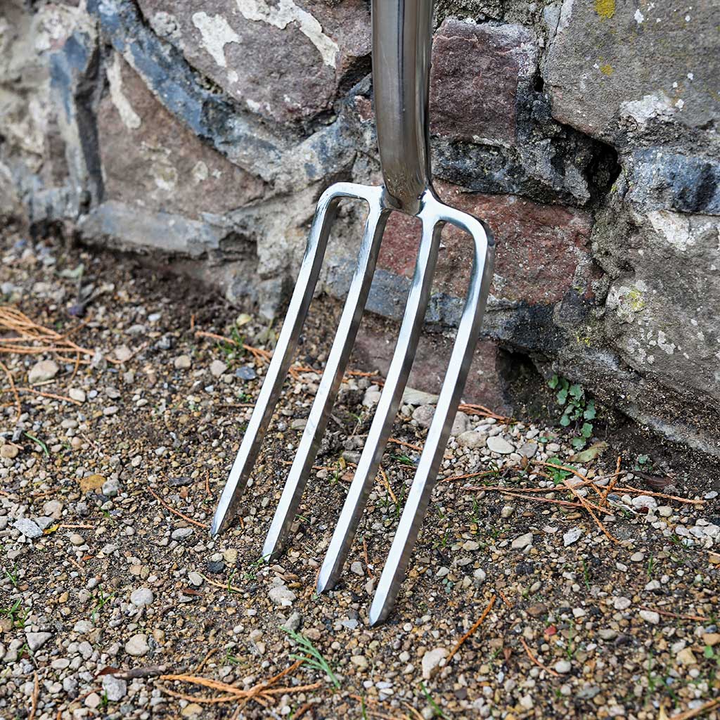 Border Fork