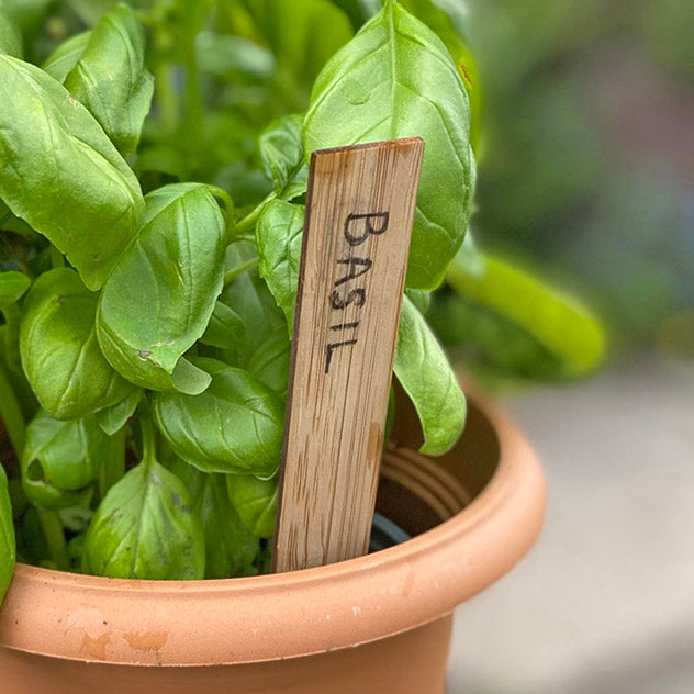 Bamboo Plant Labels 15cm x 2cm I Knowle Nets