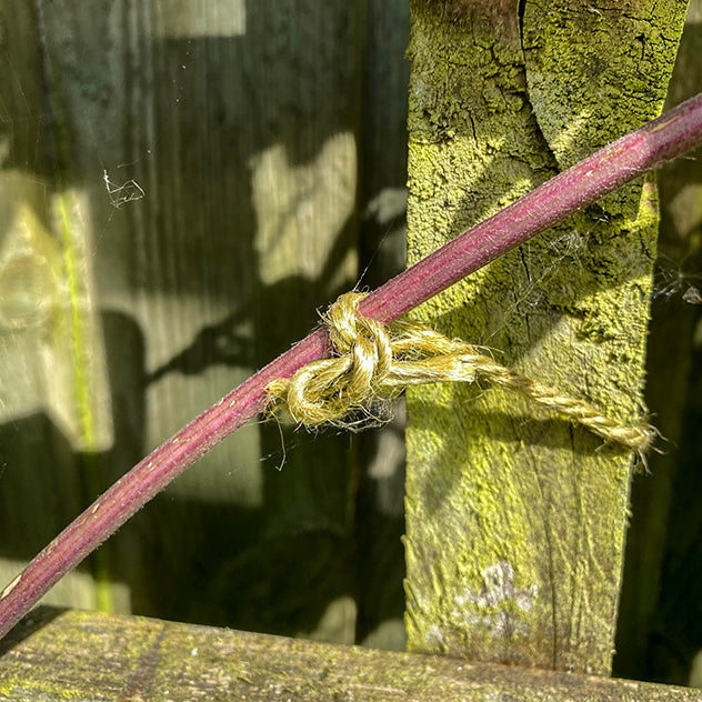 Biodegradable Sisal Twine