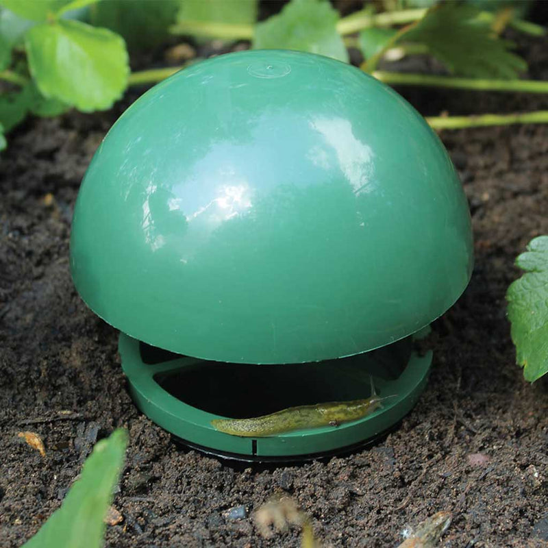 slug and snail catcher