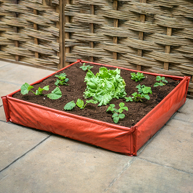 a square raised bed on patio growing vegetables