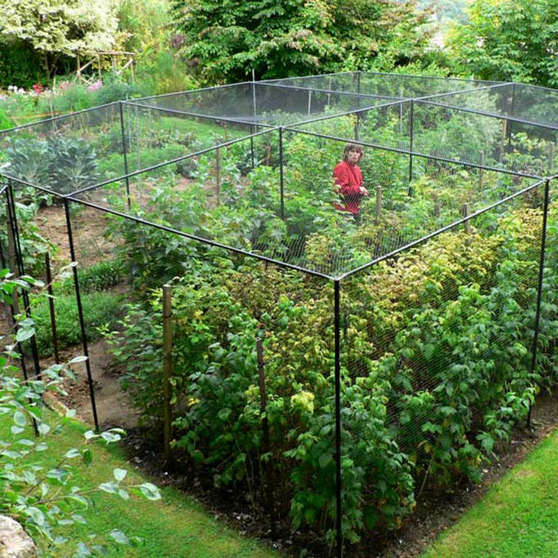 Knowle Nets steel walk-in fruit cage top view