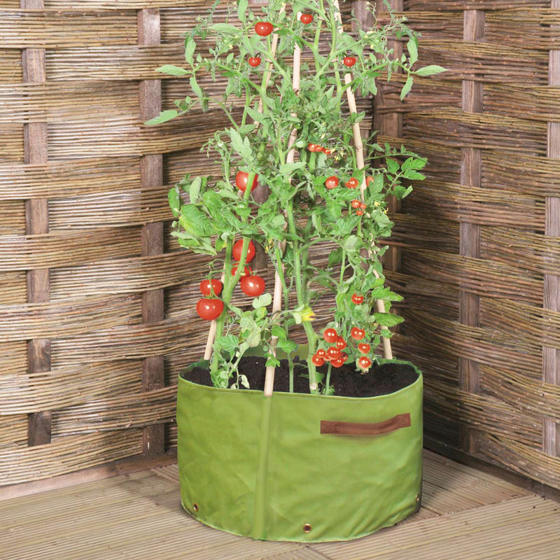 Tomato Patio Planters (x2) Knowle Nets