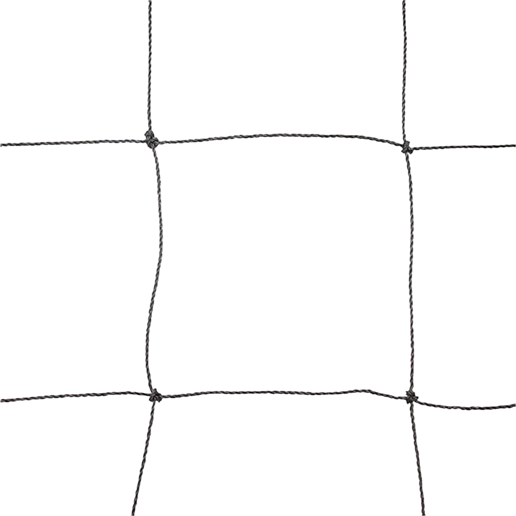 Adult Pheasants in Heavy Duty 75mm knotted square mesh on a white background