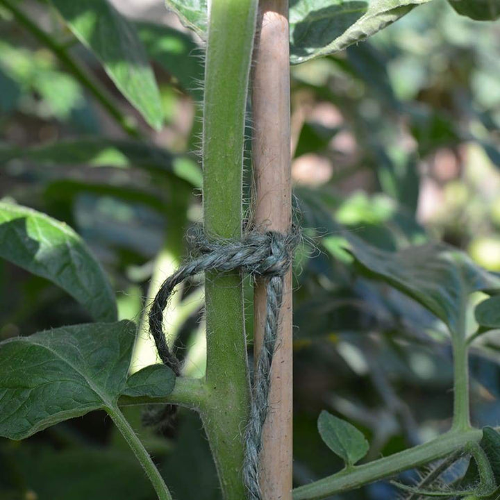 biodegradable-jute-twine-green-