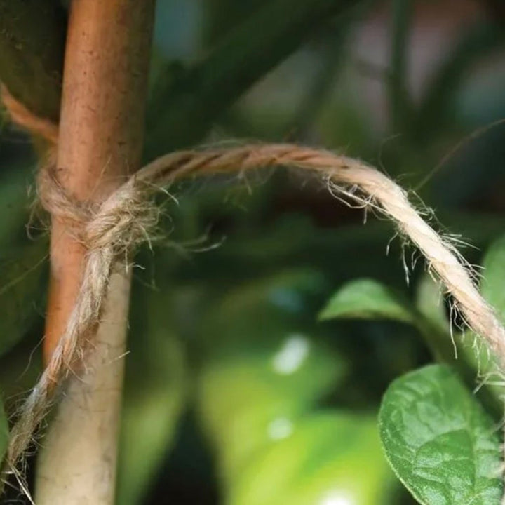 biodegradable-jute-twine