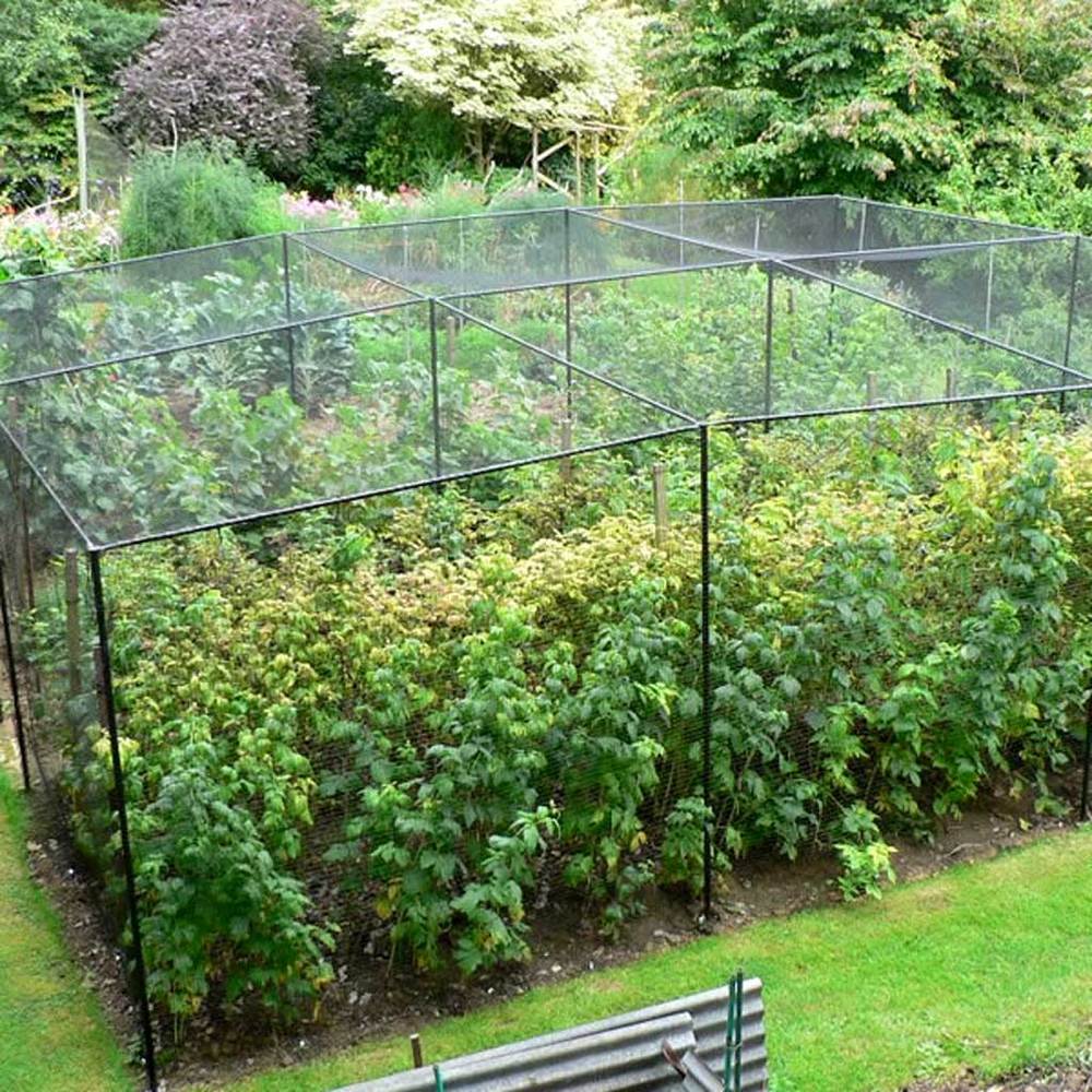 Knowle Nets steel walk-in fruit cage large cage