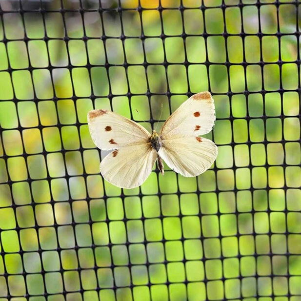 knowle nets anti-butterfly netting with a white butterfly resting on it