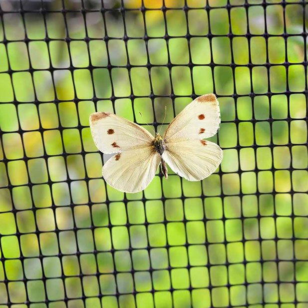 Anti butterfly Netting - 8mm moulded mesh