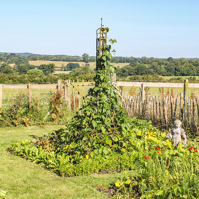 Eiffel Tower Plant Frame