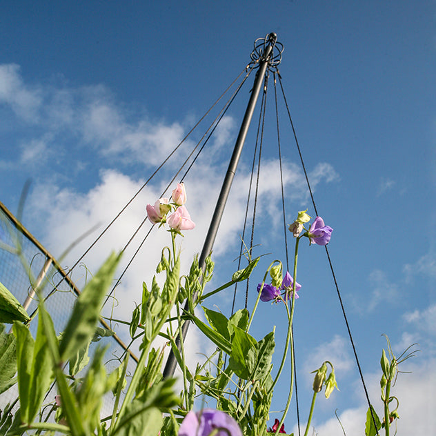 Garden Maypole