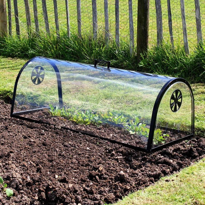 Kitchen garden cloche- in use on veg patch 