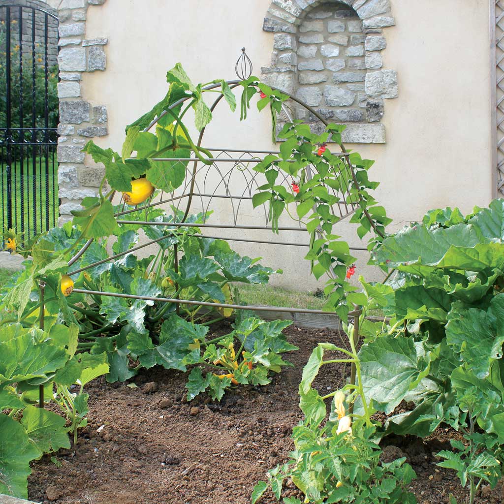 square ornamental plant frame in use