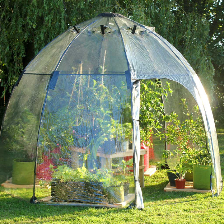 sunzbubble large inn use as greenhouse