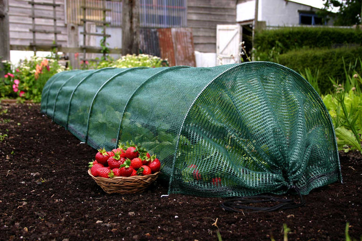 easy net tunnel- in use