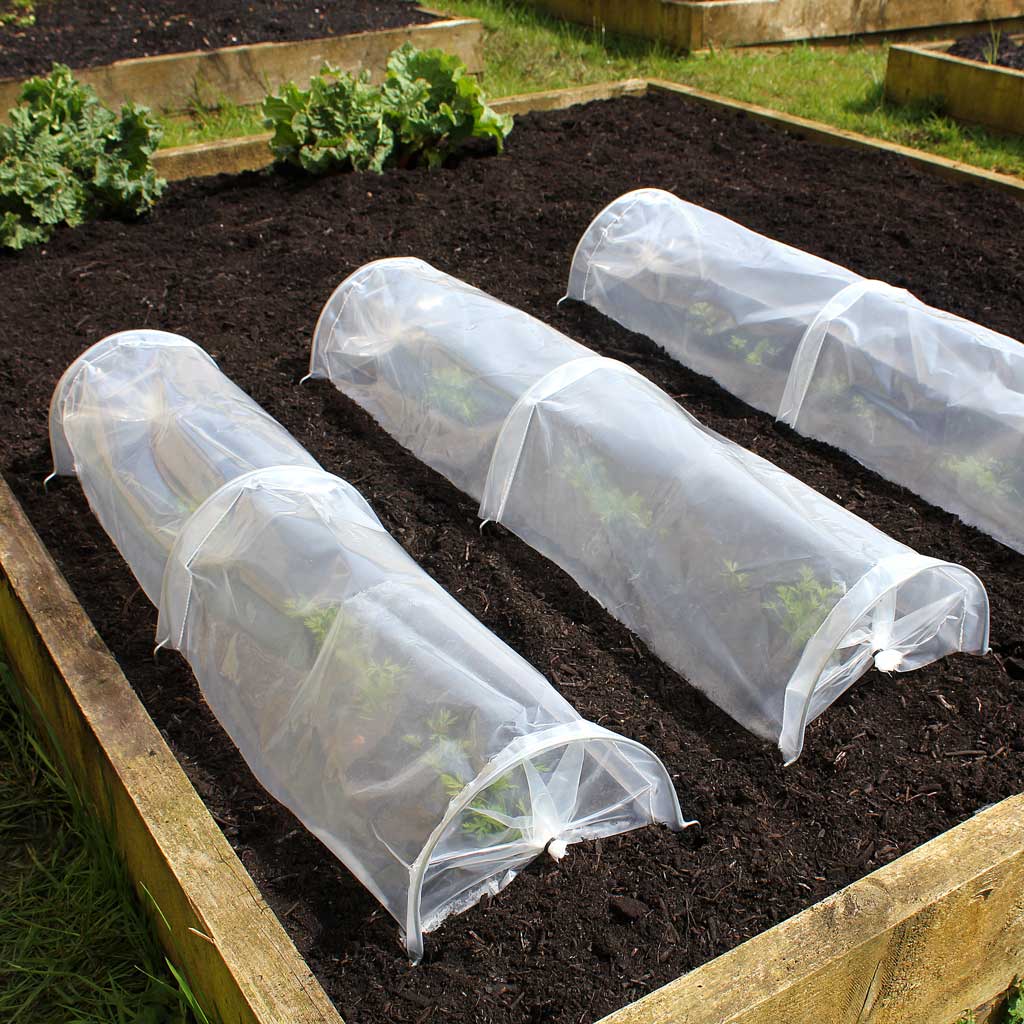 easy seedling tunnel- in use on raised bed