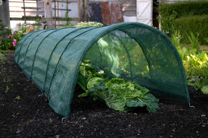 easy net tunnel- in use