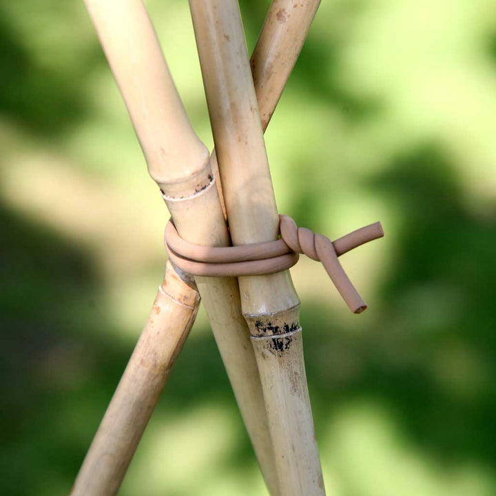 slim soft tie woody- in use