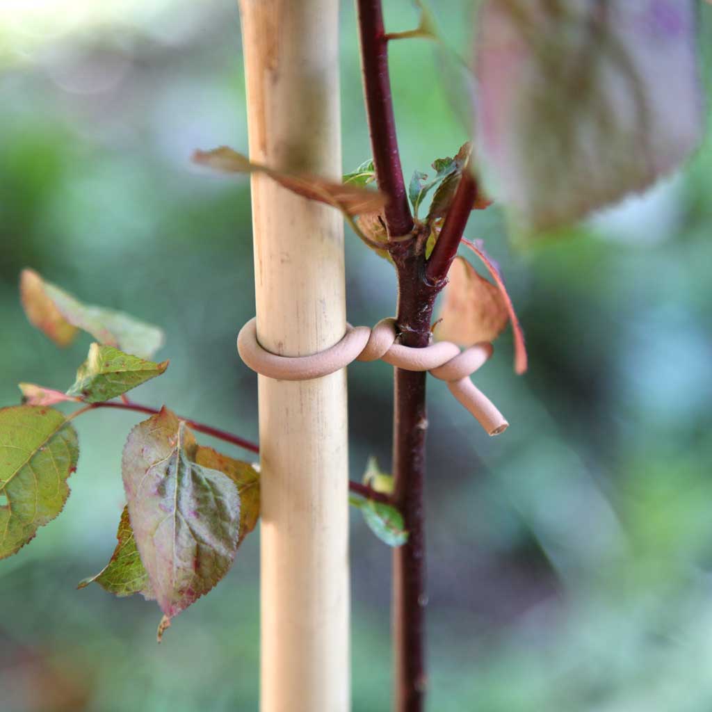 slim soft tie woody- in use