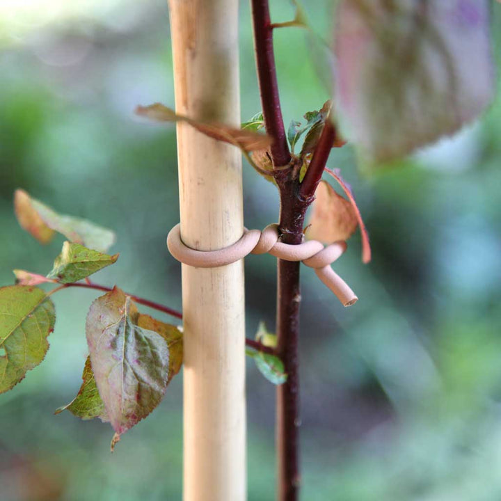 slim soft tie woody- in use