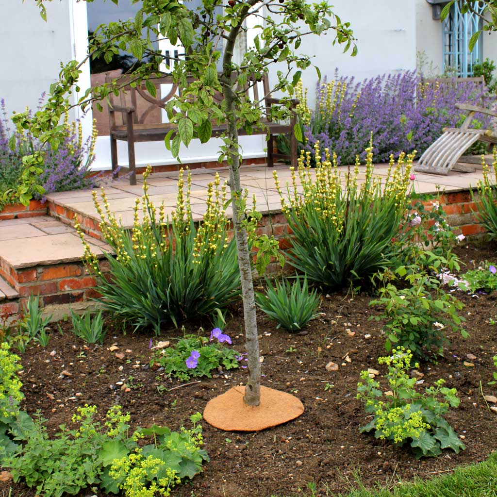 tree mat in use in garden 