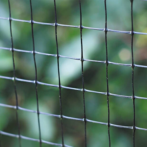 Premium Fruit Cage Side Net with a blurred green background