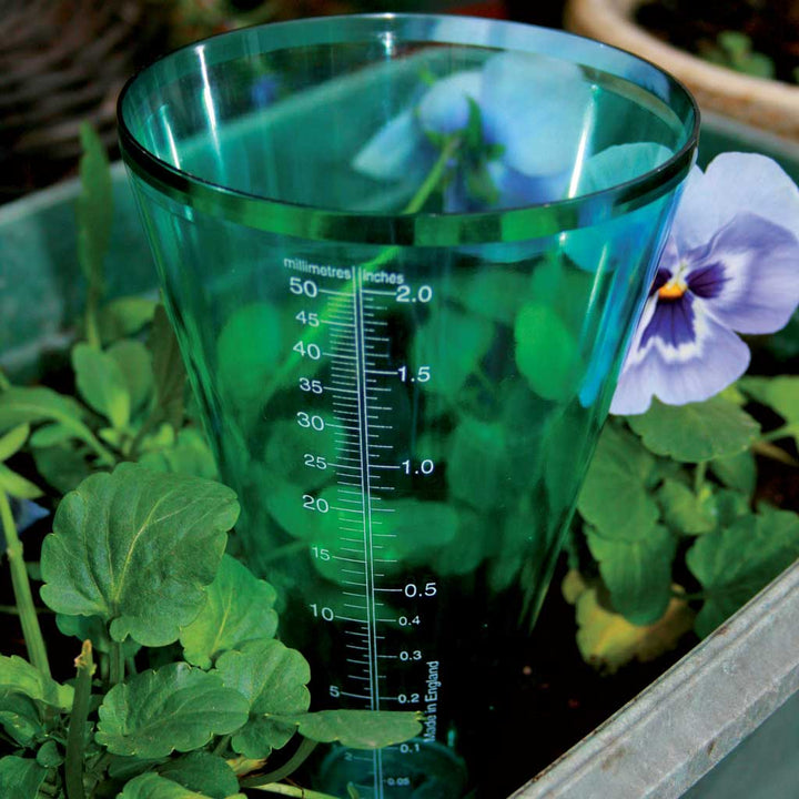 rain gauge 