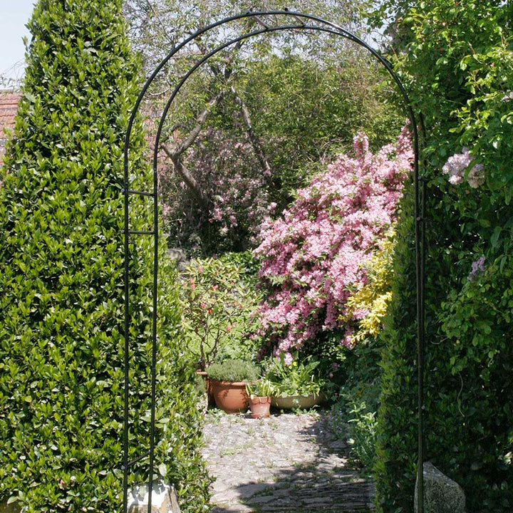 Round Black Metal Garden Arch