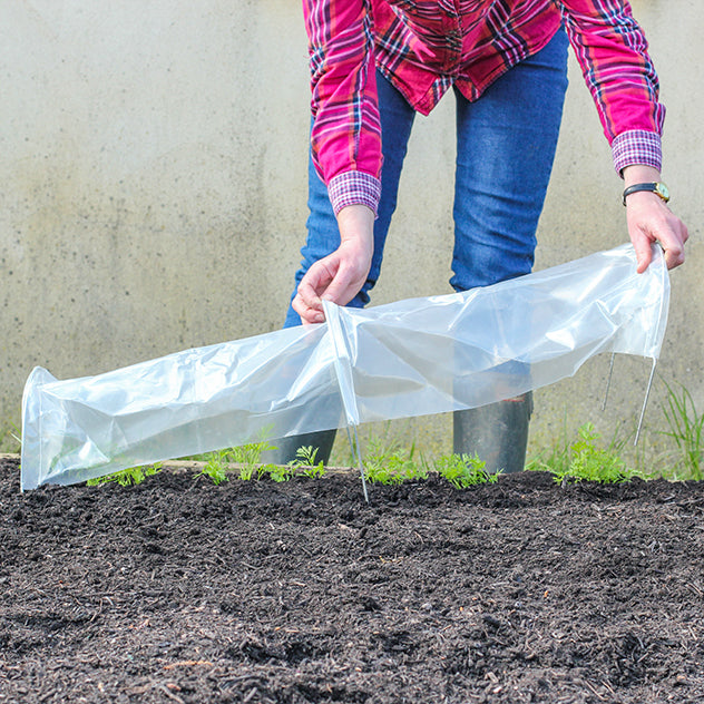 Easy Seedling Tunnels (3 pack)