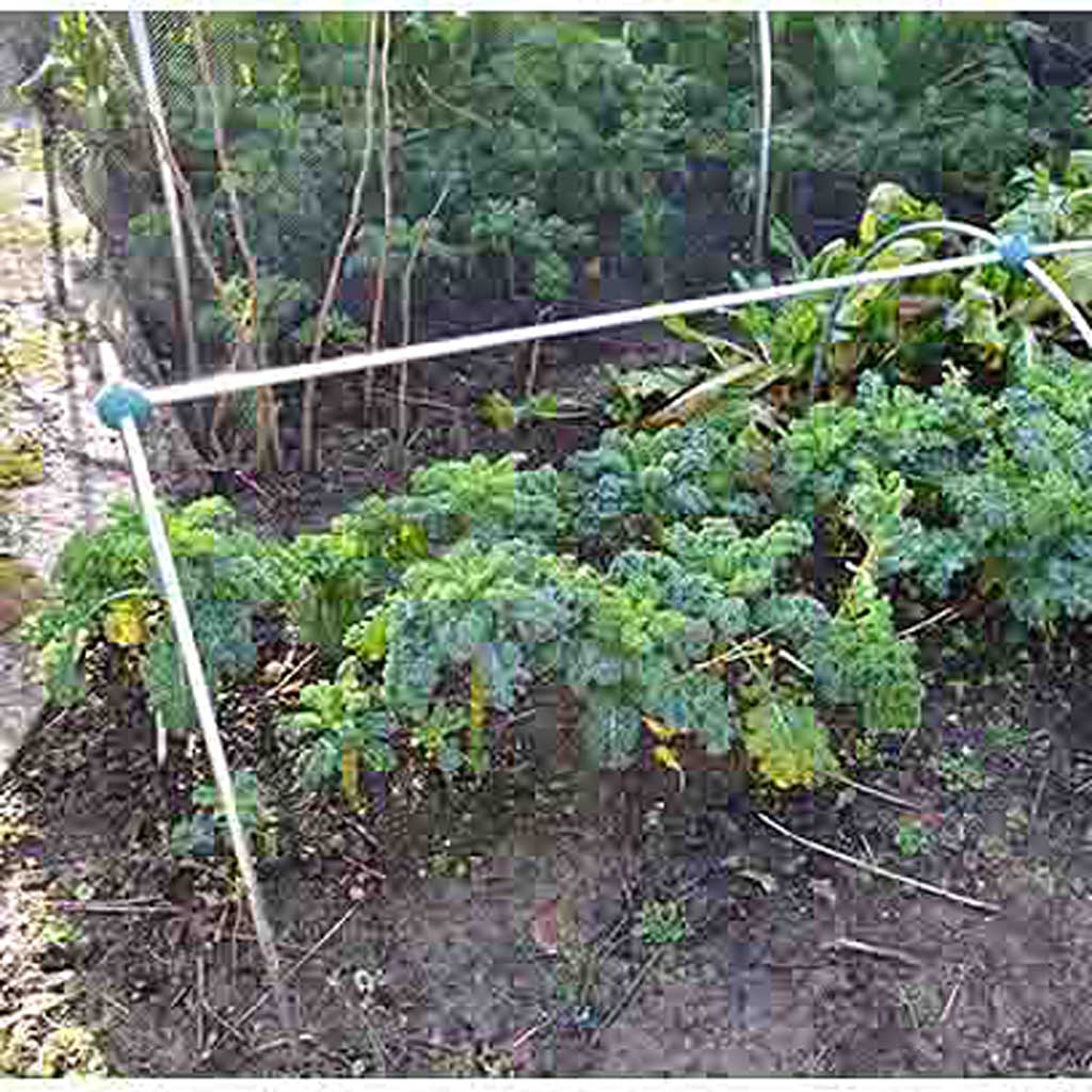 Small Tunnel Cloche - Knowle Nets