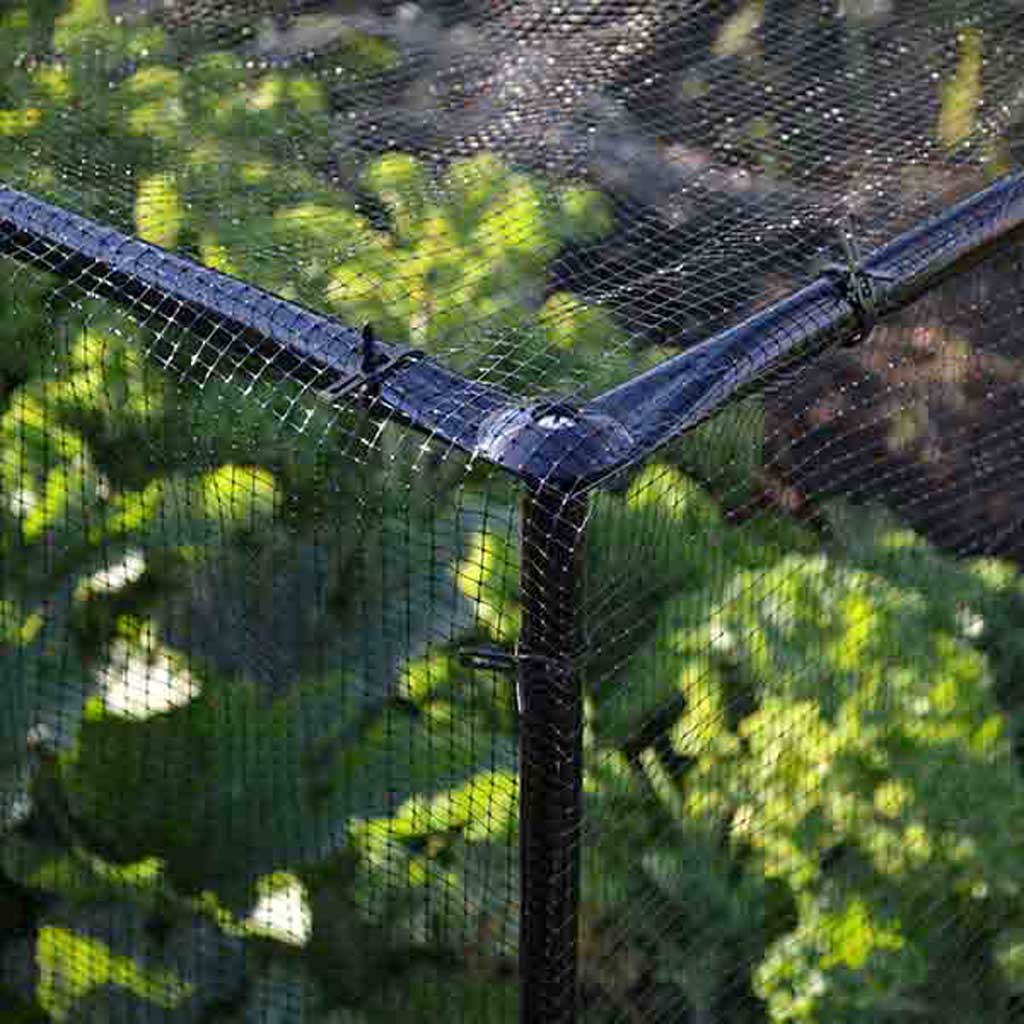 STEEL LOW FRUIT CAGE-corner CU- Knowle Nets 