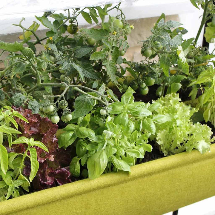 Vigoroot Easy Table Garden