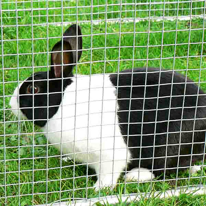 Welded Wire Mesh - 25m roll - Knowle Nets